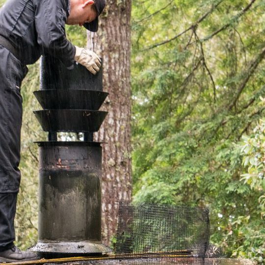 chimney inspection photo